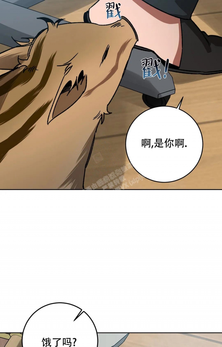 《蒙眼游戏》漫画最新章节第120话免费下拉式在线观看章节第【5】张图片