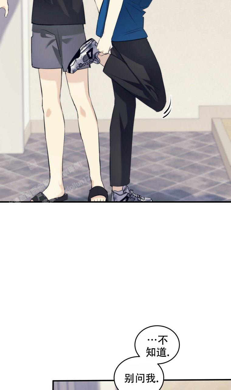 《星光闪耀》漫画最新章节第15话免费下拉式在线观看章节第【4】张图片