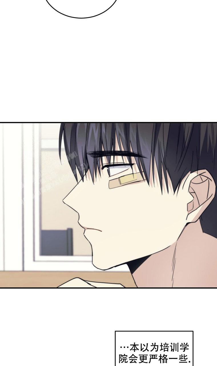 《星光闪耀》漫画最新章节第5话免费下拉式在线观看章节第【15】张图片