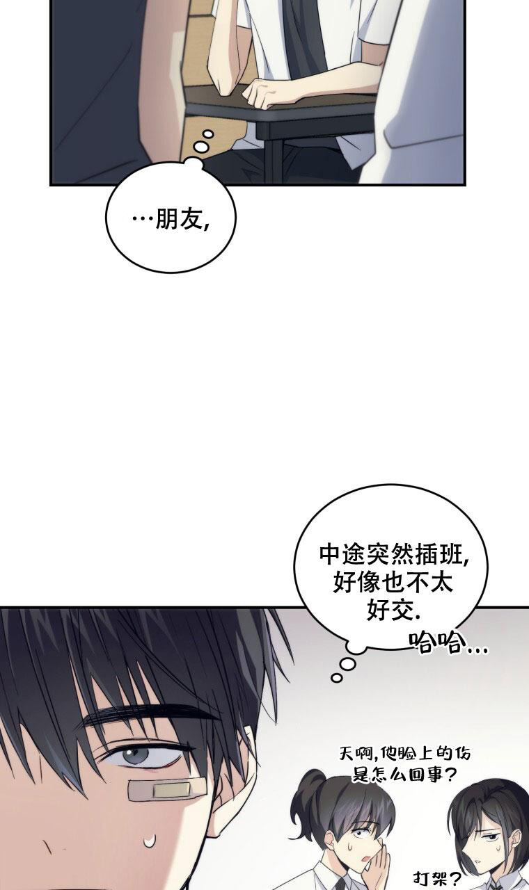 《星光闪耀》漫画最新章节第5话免费下拉式在线观看章节第【3】张图片