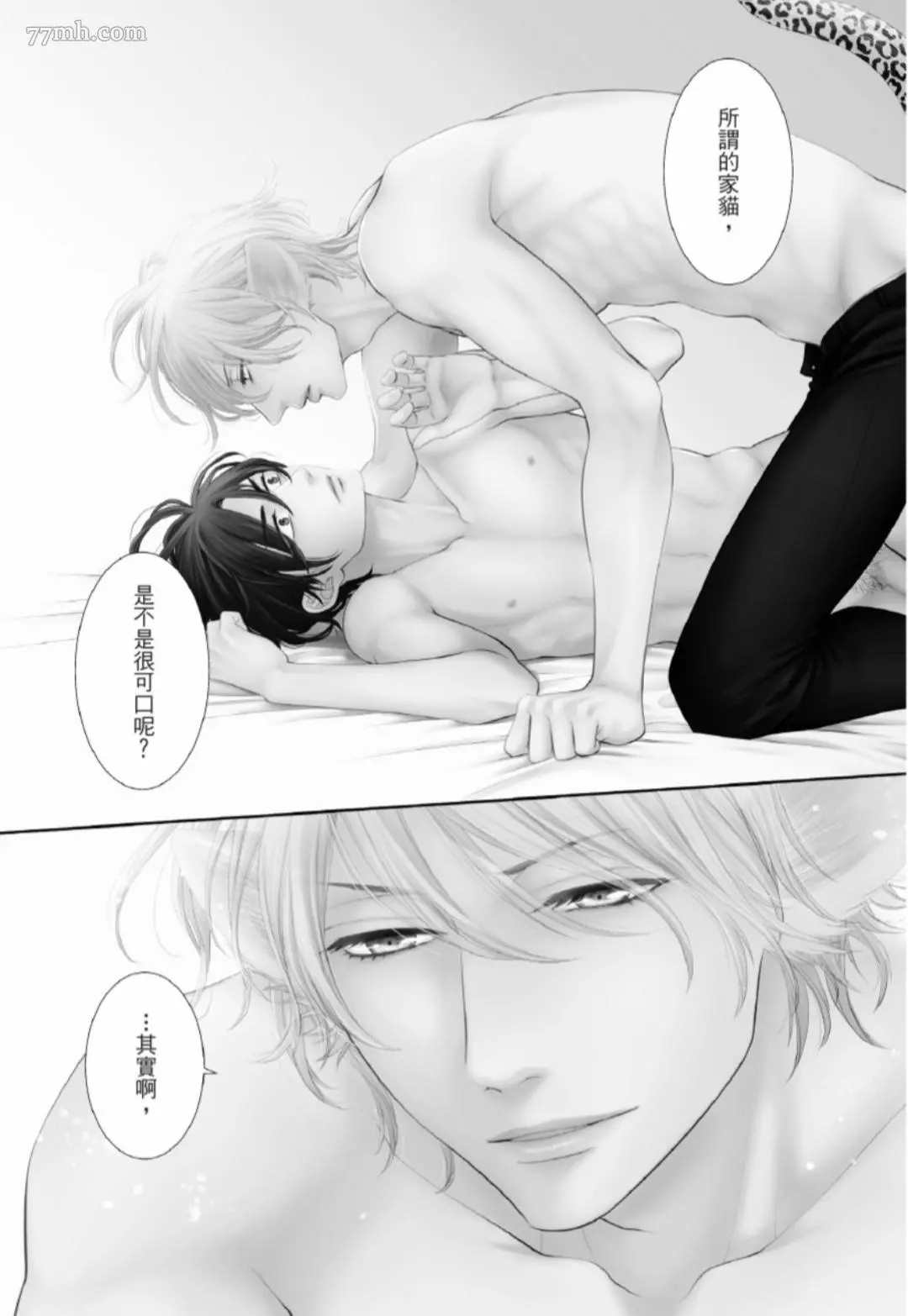 《任性王子狩猎猫咪》漫画最新章节第2话免费下拉式在线观看章节第【2】张图片