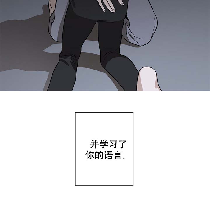 《不飞的鸟》漫画最新章节第11话免费下拉式在线观看章节第【2】张图片