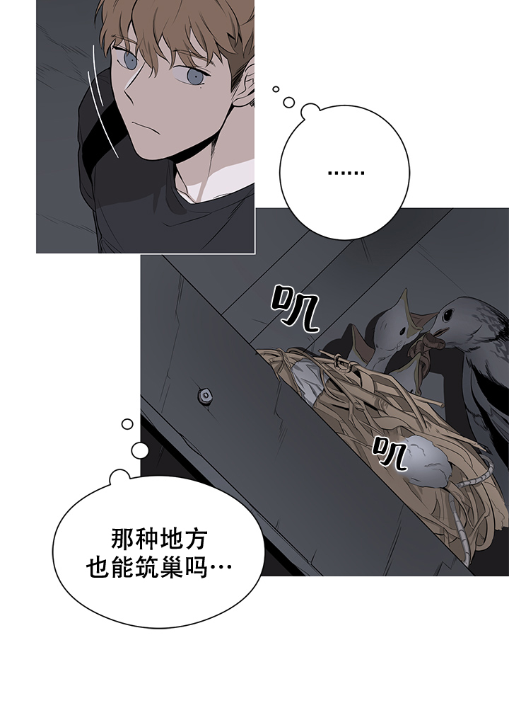 《不飞的鸟》漫画最新章节第1话免费下拉式在线观看章节第【8】张图片