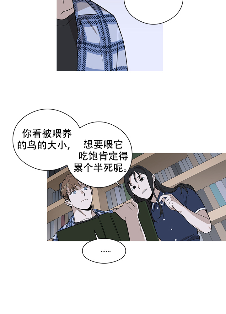 《不飞的鸟》漫画最新章节第3话免费下拉式在线观看章节第【3】张图片