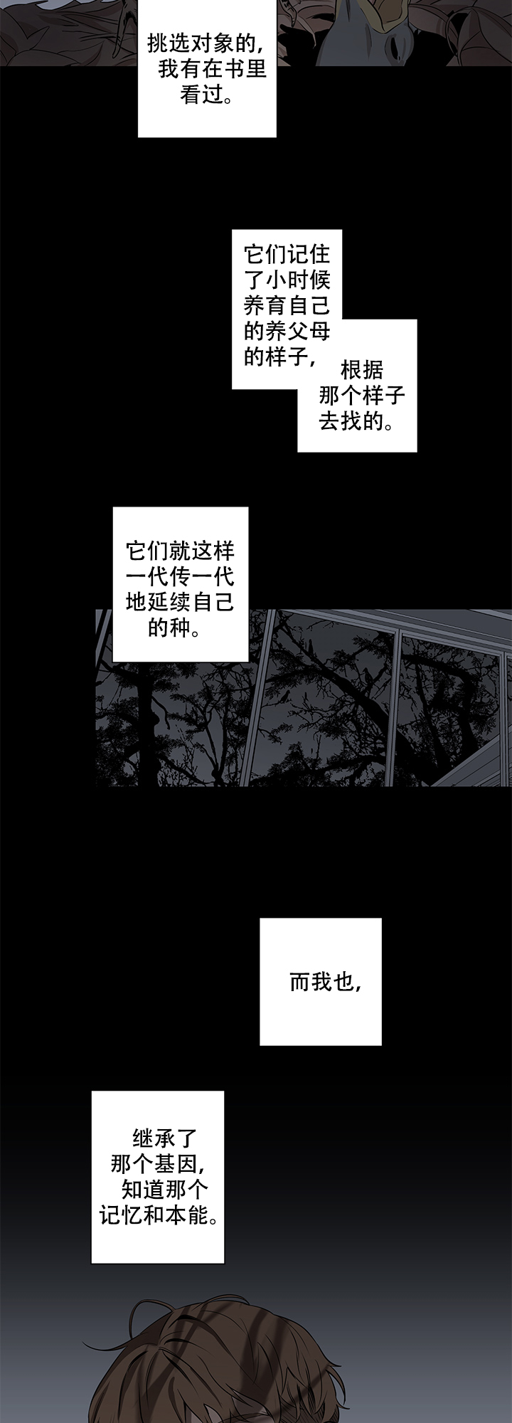 《不飞的鸟》漫画最新章节第10话免费下拉式在线观看章节第【9】张图片