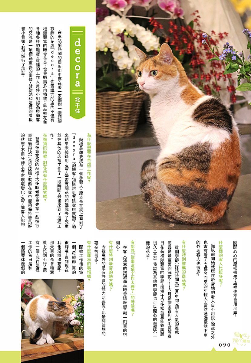 《看板猫》漫画最新章节第9话免费下拉式在线观看章节第【9】张图片