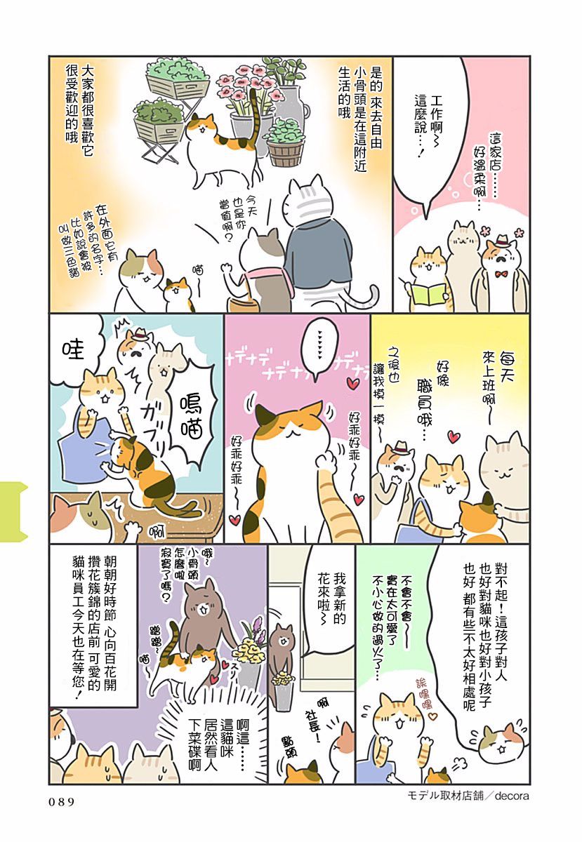 《看板猫》漫画最新章节第9话免费下拉式在线观看章节第【8】张图片