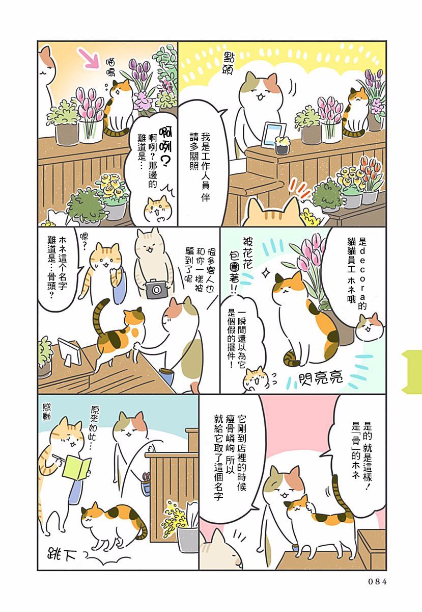 《看板猫》漫画最新章节第9话免费下拉式在线观看章节第【3】张图片