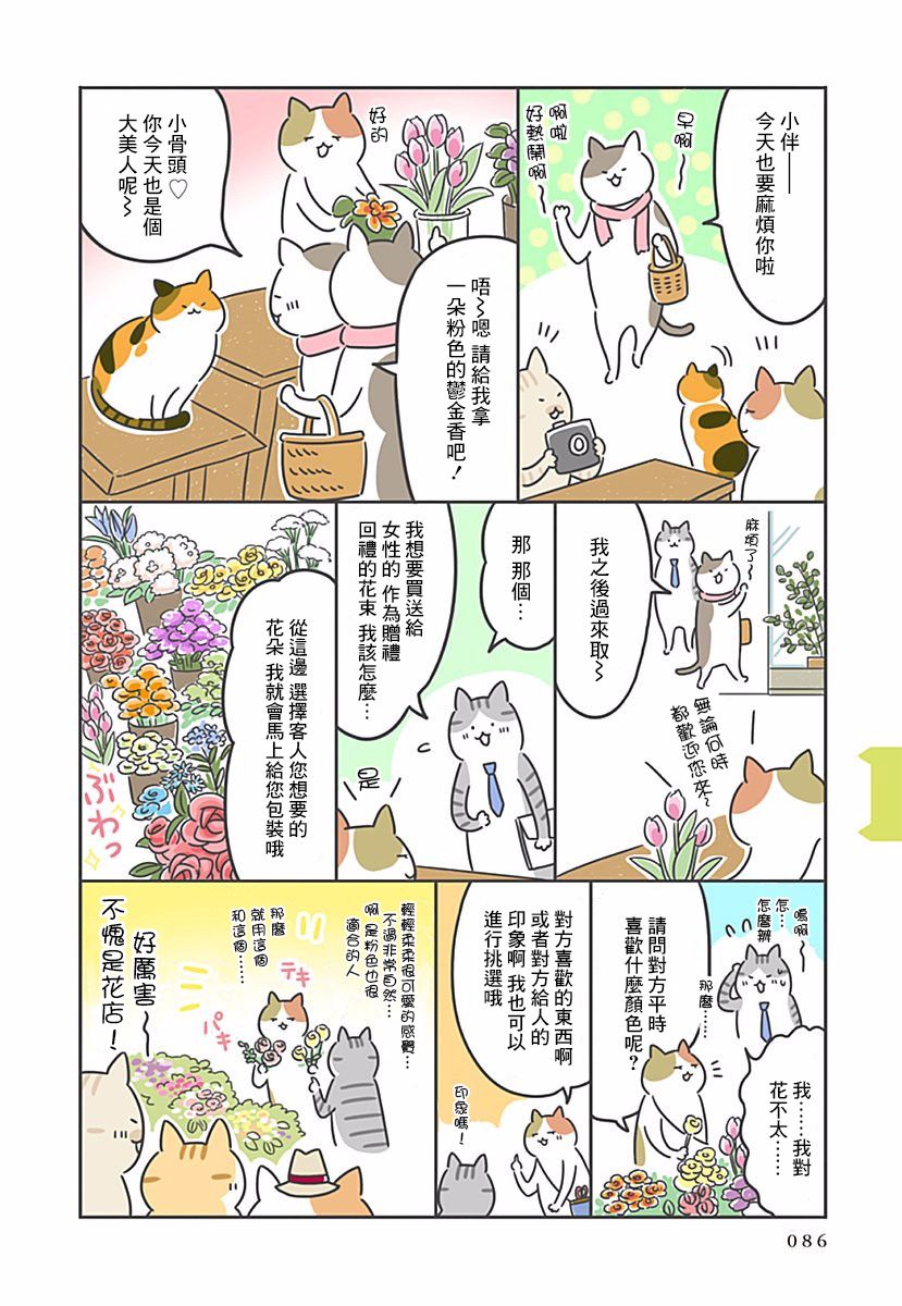 《看板猫》漫画最新章节第9话免费下拉式在线观看章节第【5】张图片
