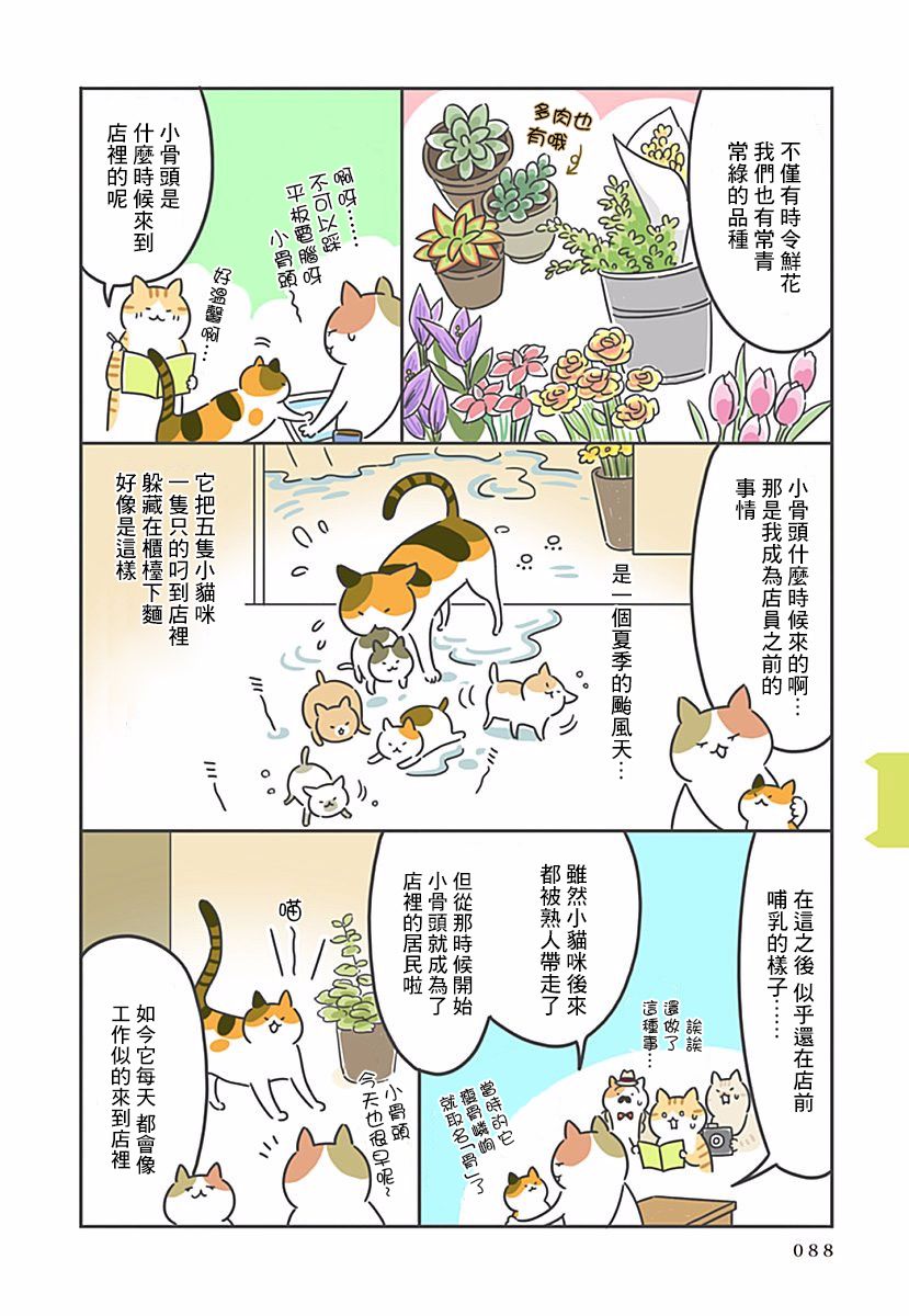 《看板猫》漫画最新章节第9话免费下拉式在线观看章节第【7】张图片