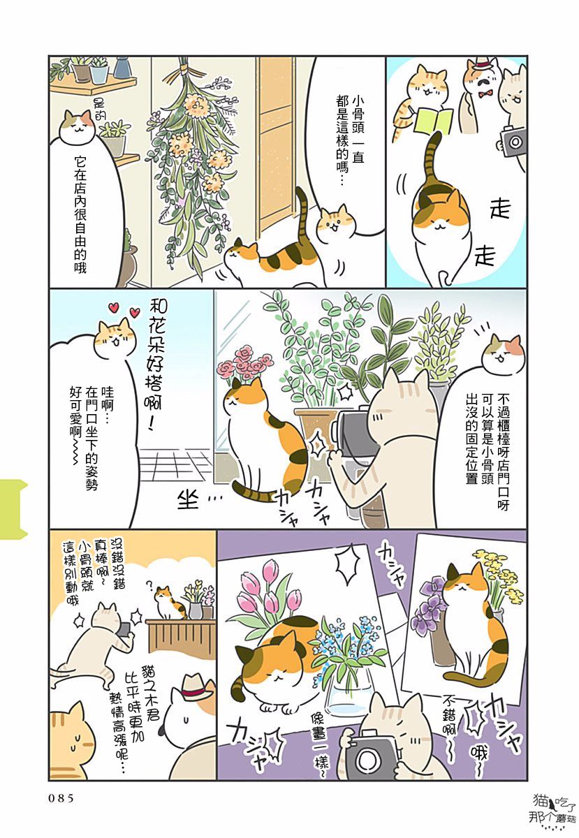 《看板猫》漫画最新章节第9话免费下拉式在线观看章节第【4】张图片