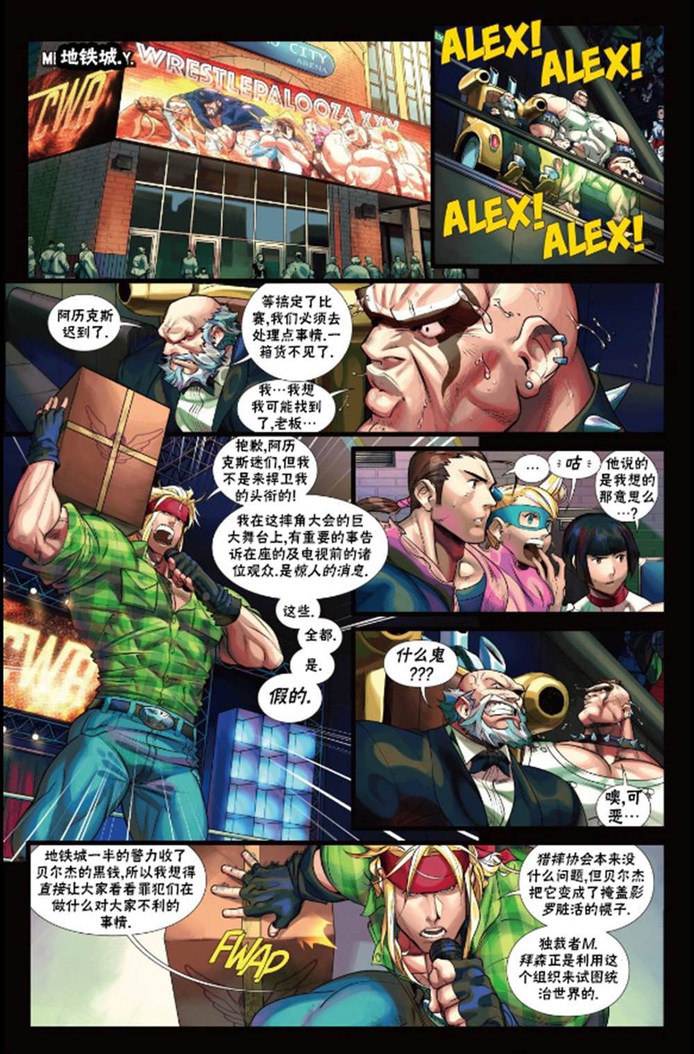 《街头霸王 特刊合集》漫画最新章节摔角特刊免费下拉式在线观看章节第【14】张图片