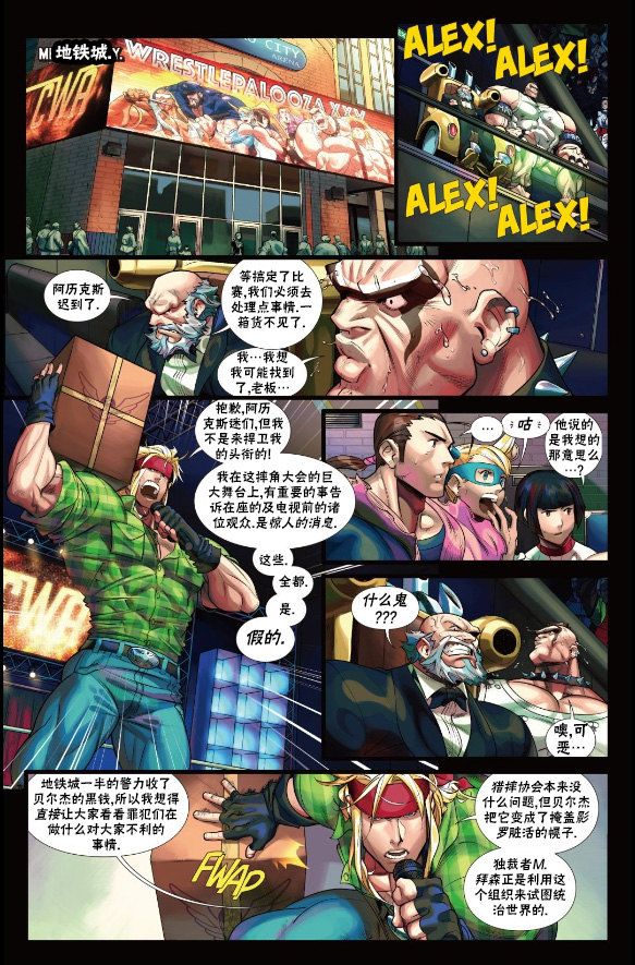 《街头霸王 特刊合集》漫画最新章节摔跤特刊免费下拉式在线观看章节第【14】张图片