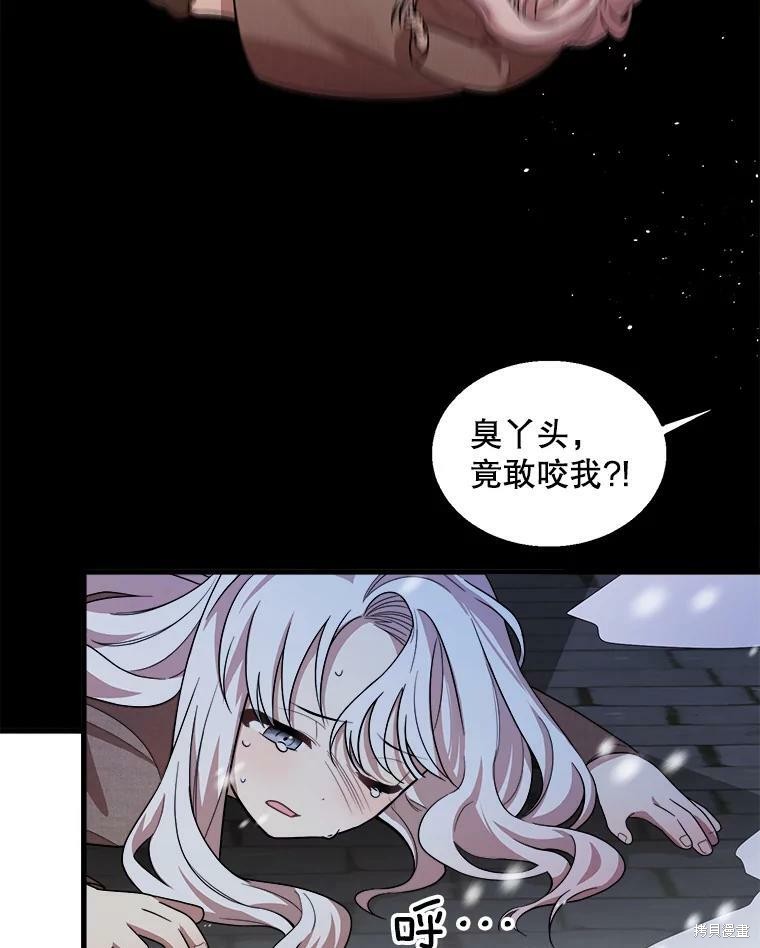 《公女的危险哥哥们》漫画最新章节第1话免费下拉式在线观看章节第【61】张图片