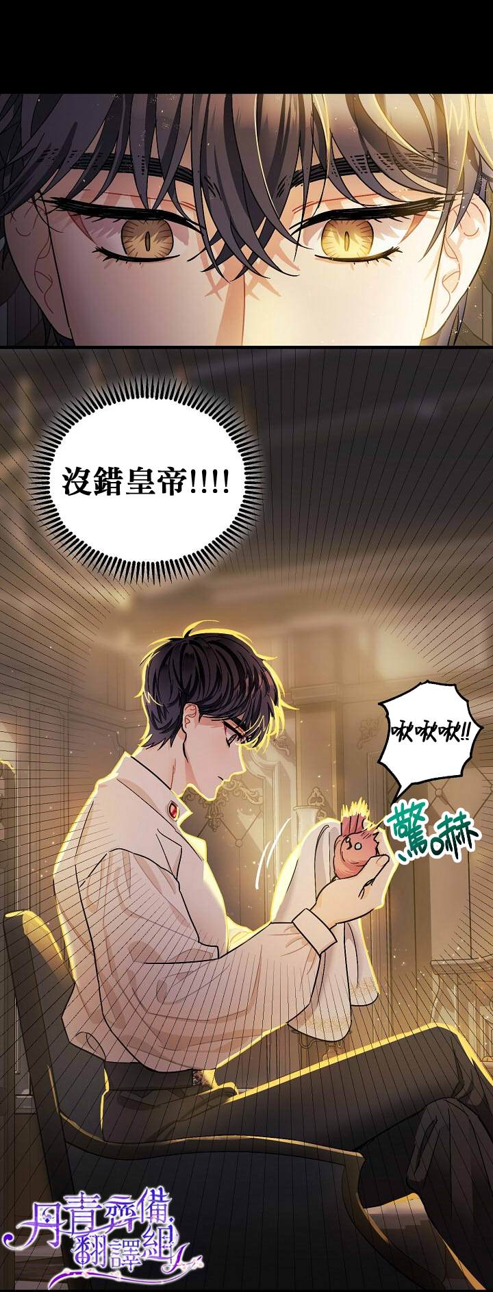 《暴君的精神安定剂》漫画最新章节第5话免费下拉式在线观看章节第【24】张图片