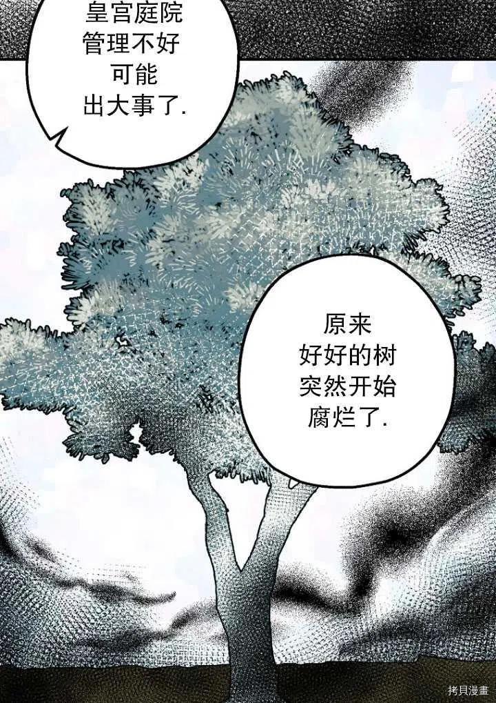 《暴君的精神安定剂》漫画最新章节第34话免费下拉式在线观看章节第【16】张图片