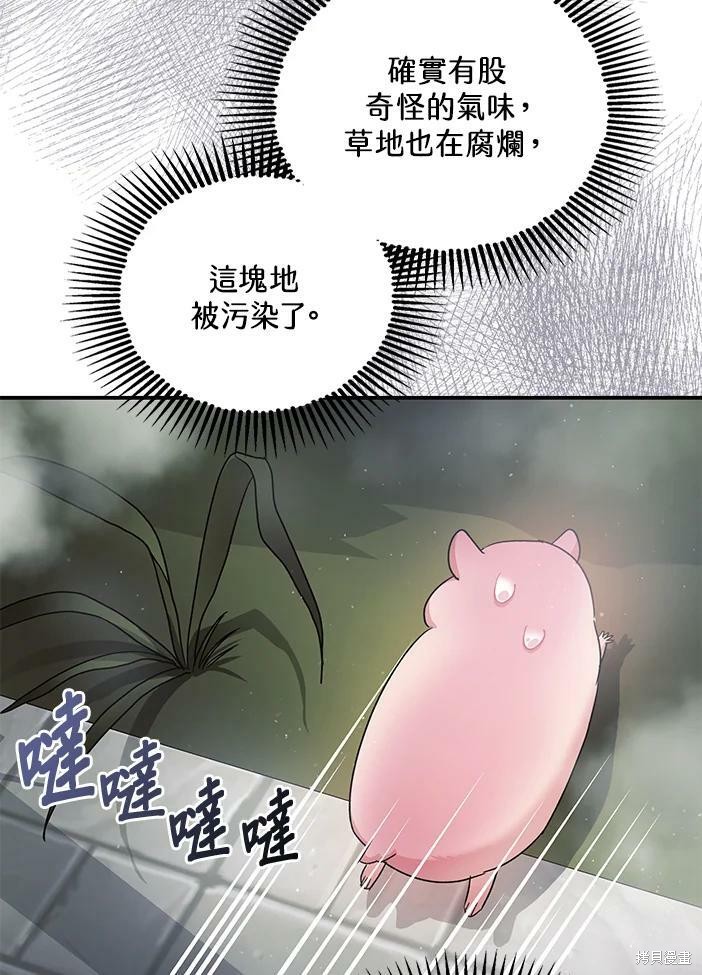 《暴君的精神安定剂》漫画最新章节第46话免费下拉式在线观看章节第【85】张图片