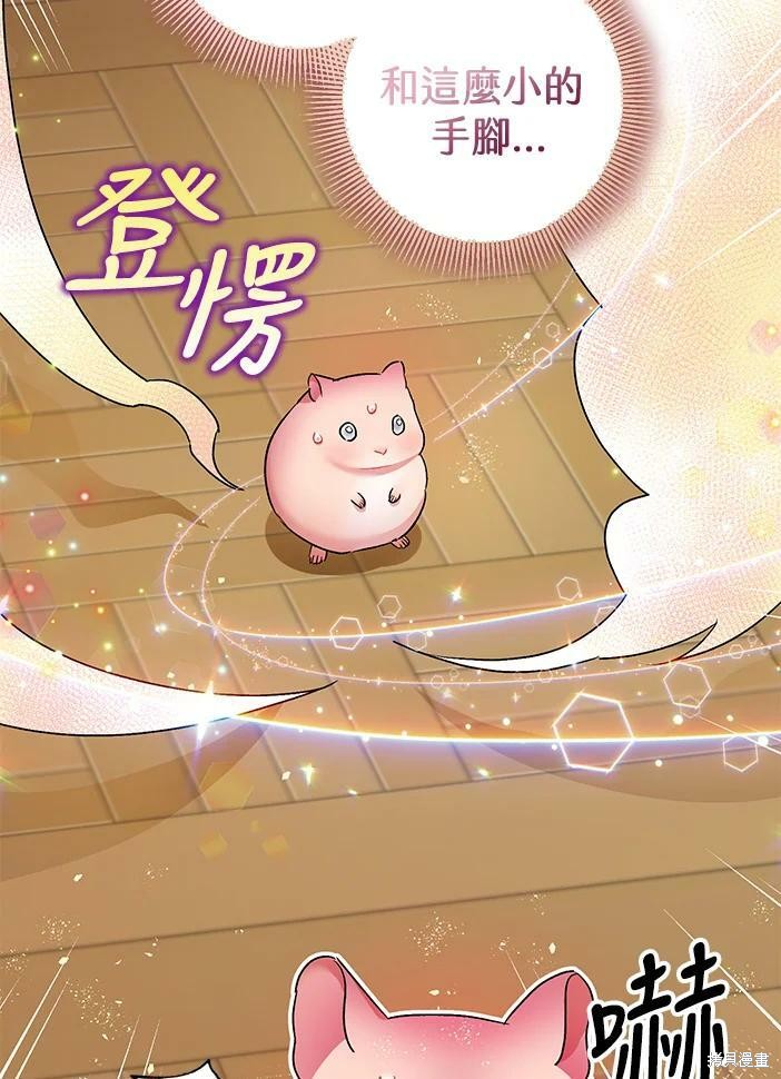 《暴君的精神安定剂》漫画最新章节第46话免费下拉式在线观看章节第【74】张图片