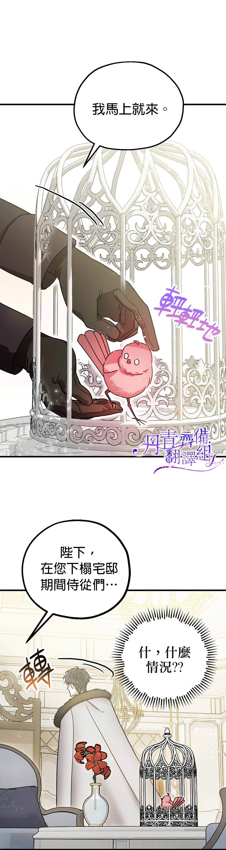 《暴君的精神安定剂》漫画最新章节第5话免费下拉式在线观看章节第【19】张图片