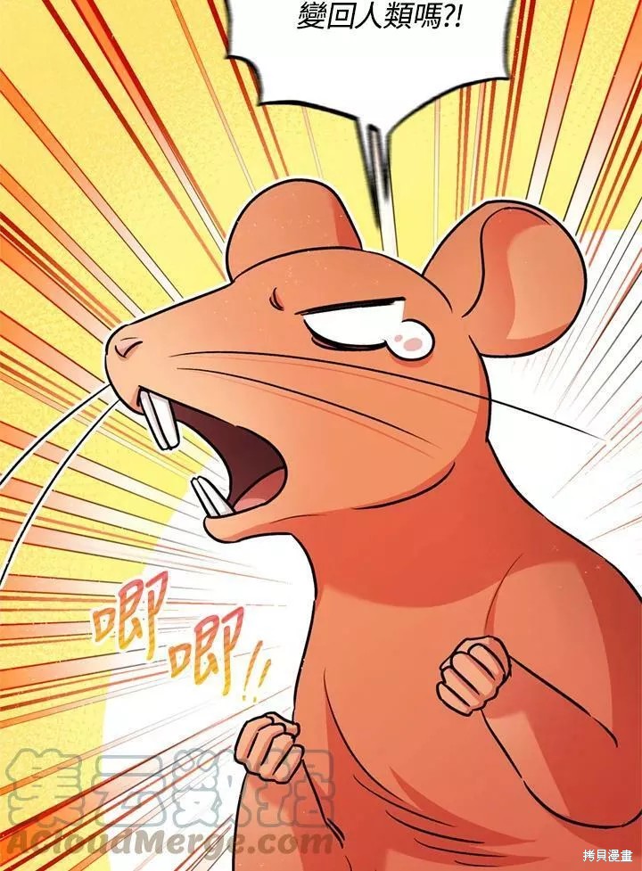 《暴君的精神安定剂》漫画最新章节第64话免费下拉式在线观看章节第【83】张图片