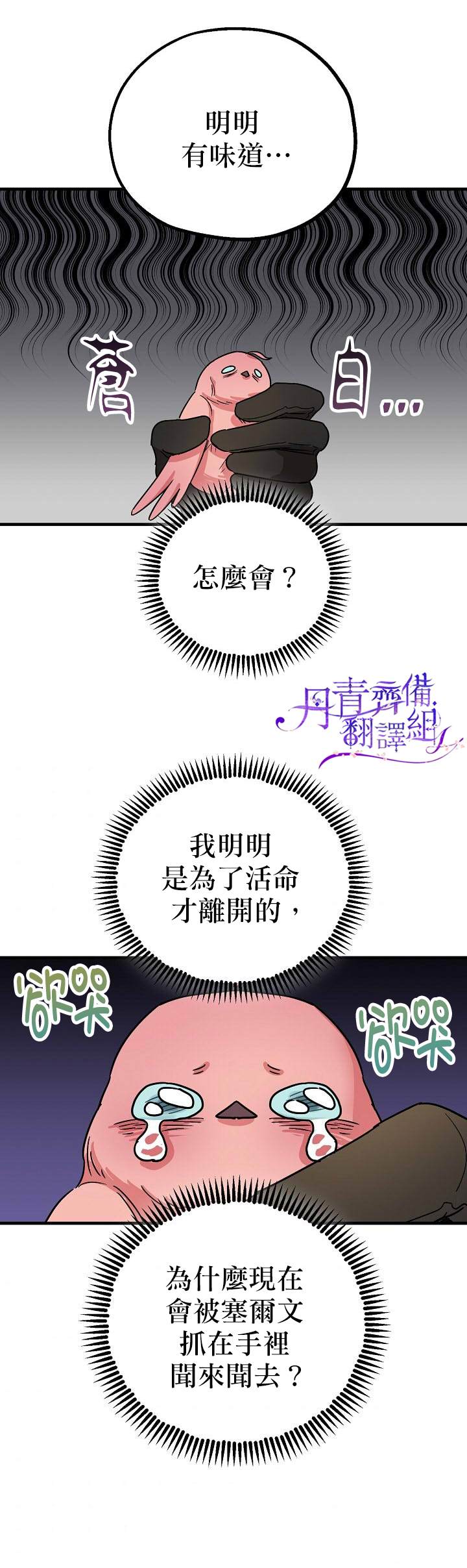 《暴君的精神安定剂》漫画最新章节第4话免费下拉式在线观看章节第【24】张图片