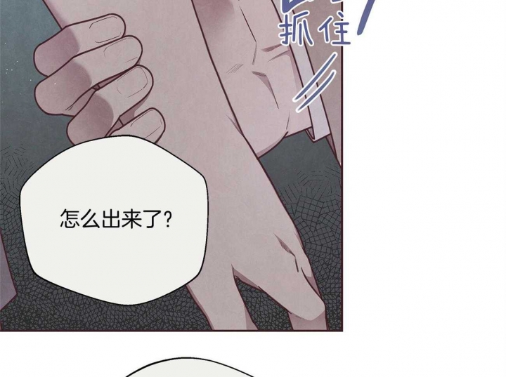 《命运的指环》漫画最新章节第33话免费下拉式在线观看章节第【2】张图片