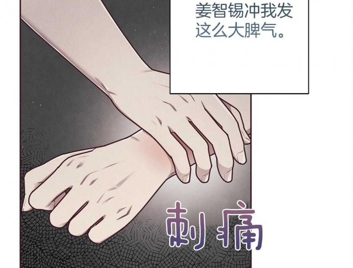 《命运的指环》漫画最新章节第40话免费下拉式在线观看章节第【11】张图片