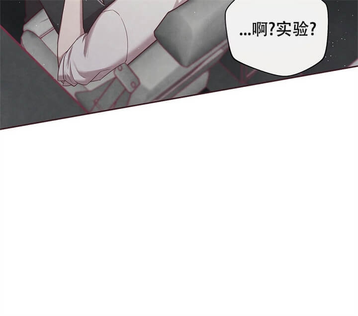 《命运的指环》漫画最新章节第5话免费下拉式在线观看章节第【64】张图片