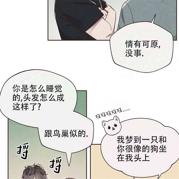 《命运的指环》漫画最新章节第15话免费下拉式在线观看章节第【15】张图片