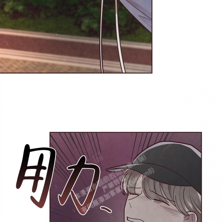 《命运的指环》漫画最新章节第50话免费下拉式在线观看章节第【9】张图片