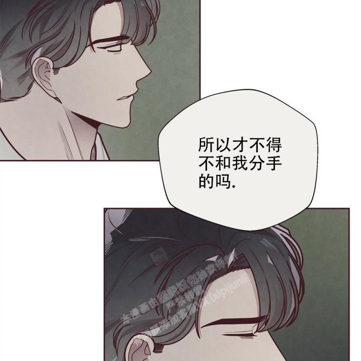 《命运的指环》漫画最新章节第49话免费下拉式在线观看章节第【46】张图片