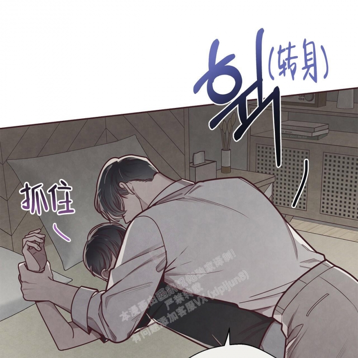 《命运的指环》漫画最新章节第46话免费下拉式在线观看章节第【25】张图片