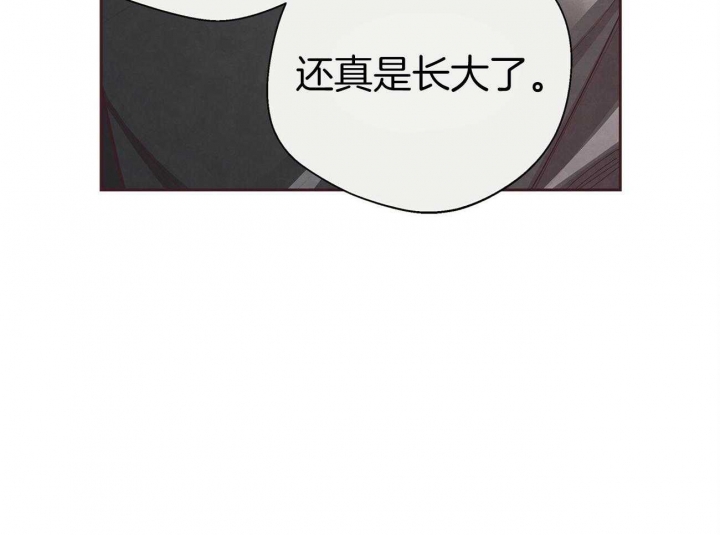 《命运的指环》漫画最新章节第38话免费下拉式在线观看章节第【46】张图片