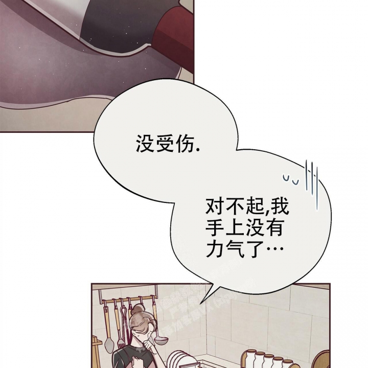 《命运的指环》漫画最新章节第48话免费下拉式在线观看章节第【13】张图片