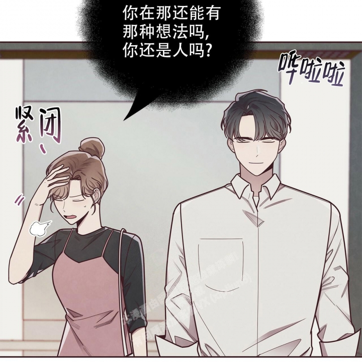 《命运的指环》漫画最新章节第49话免费下拉式在线观看章节第【3】张图片