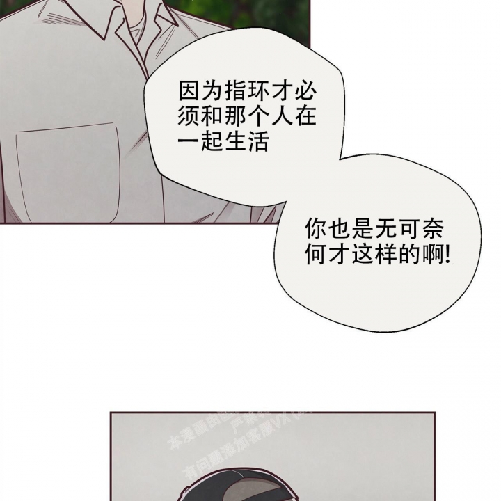 《命运的指环》漫画最新章节第50话免费下拉式在线观看章节第【2】张图片