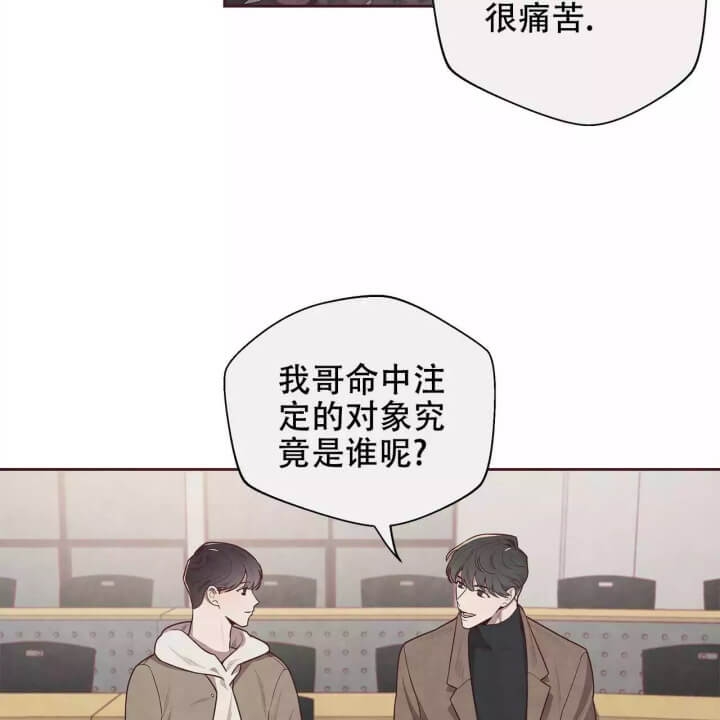 《命运的指环》漫画最新章节第1话免费下拉式在线观看章节第【15】张图片