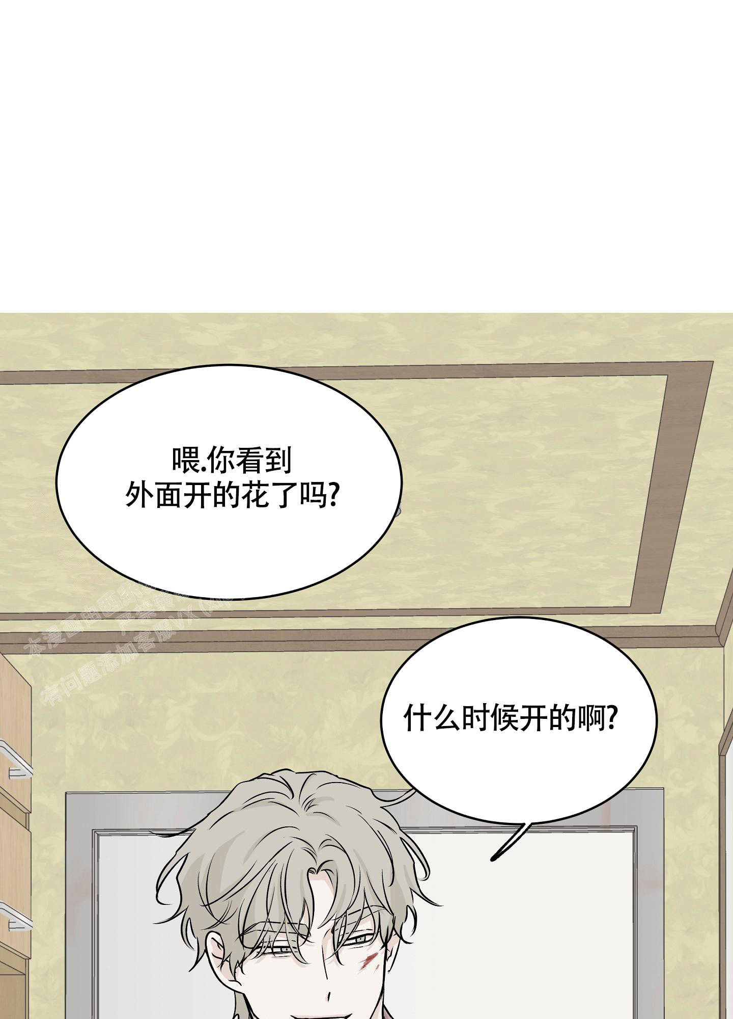 《等价交换》漫画最新章节第70话免费下拉式在线观看章节第【13】张图片