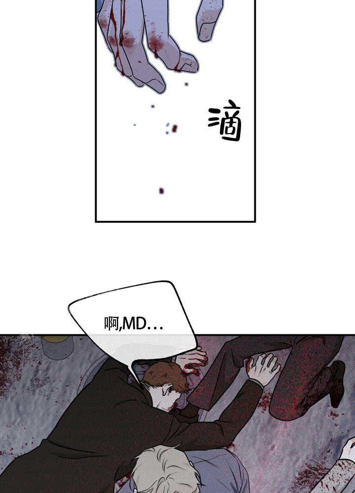 《等价交换》漫画最新章节第102话免费下拉式在线观看章节第【33】张图片