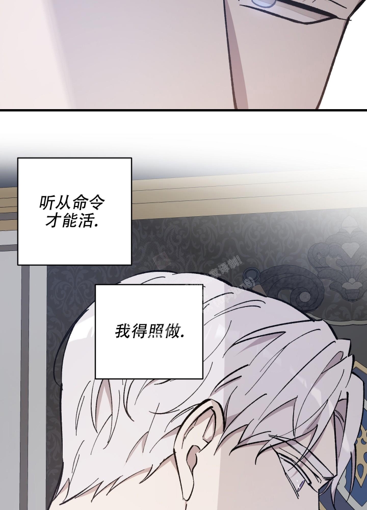 《太阳之花》漫画最新章节第5话免费下拉式在线观看章节第【12】张图片