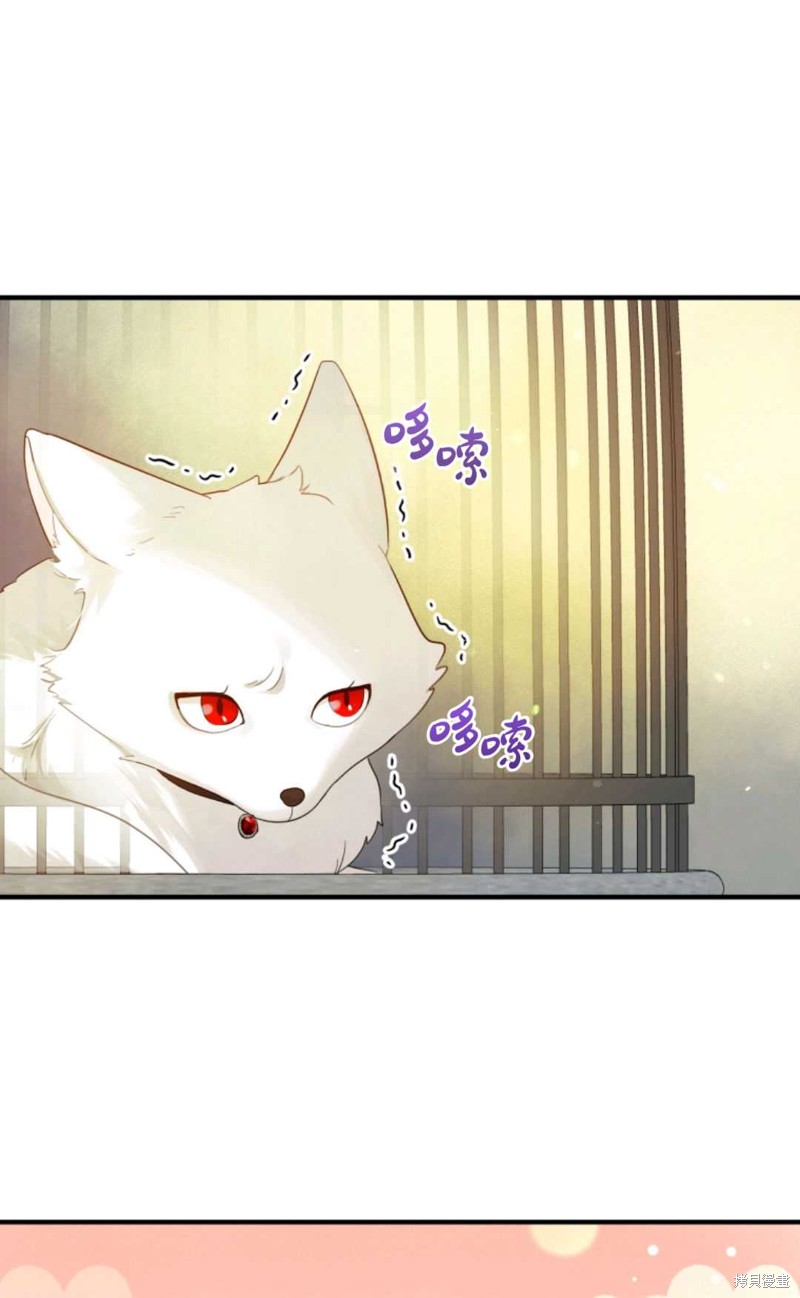 《成为BL主人公的妹妹》漫画最新章节第11话免费下拉式在线观看章节第【29】张图片