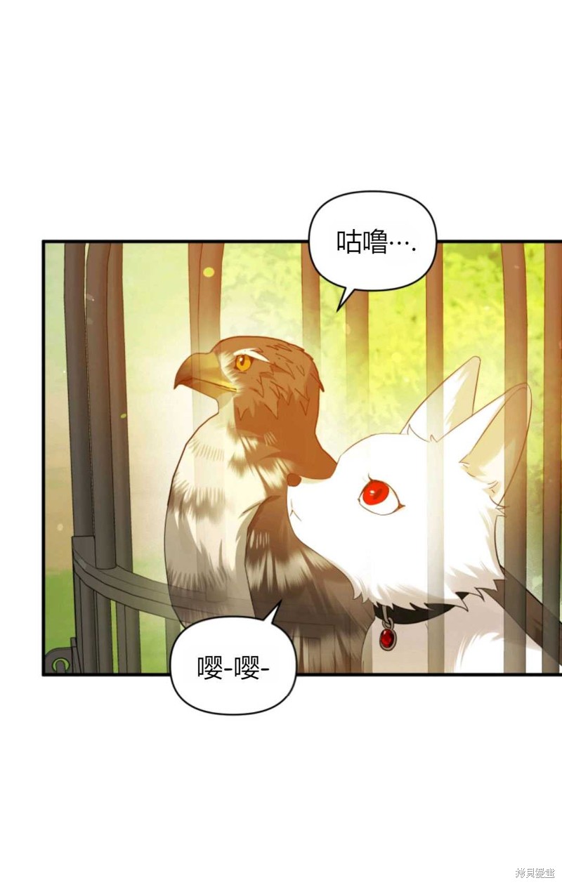 《成为BL主人公的妹妹》漫画最新章节第18话免费下拉式在线观看章节第【11】张图片