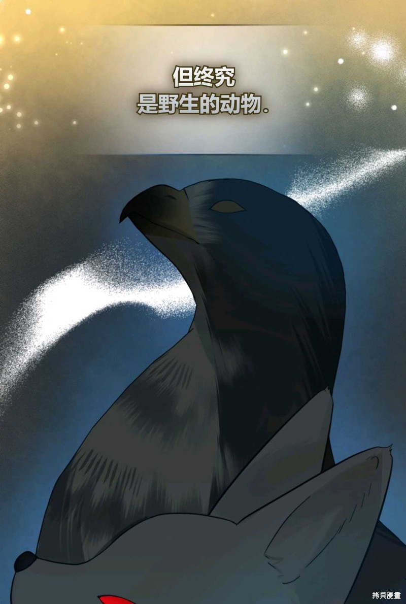 《成为BL主人公的妹妹》漫画最新章节第14话免费下拉式在线观看章节第【61】张图片