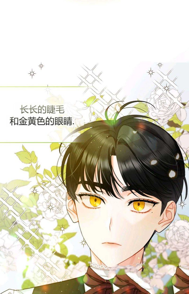 《成为BL主人公的妹妹》漫画最新章节第1话免费下拉式在线观看章节第【75】张图片