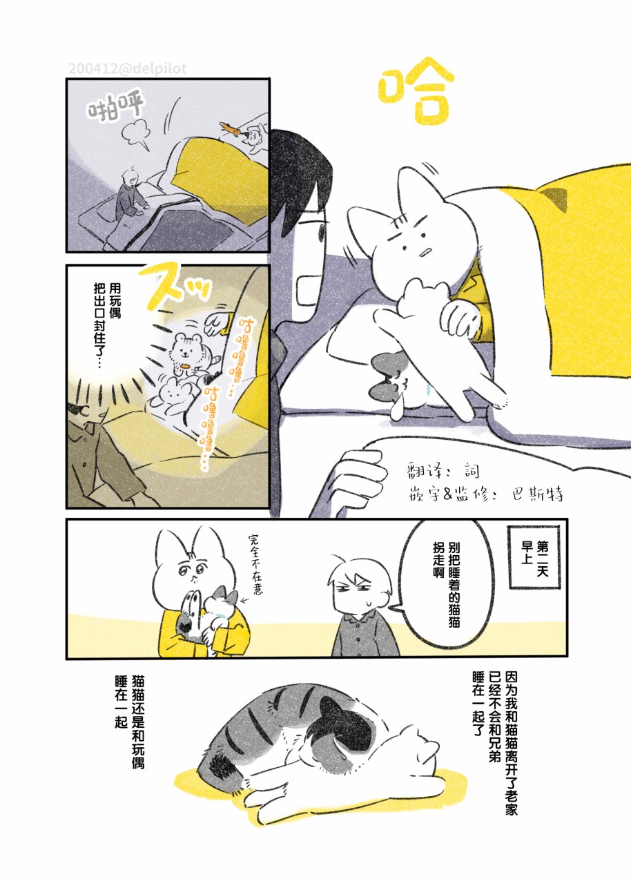 《和猫在一起生活的日记》漫画最新章节第14话免费下拉式在线观看章节第【5】张图片