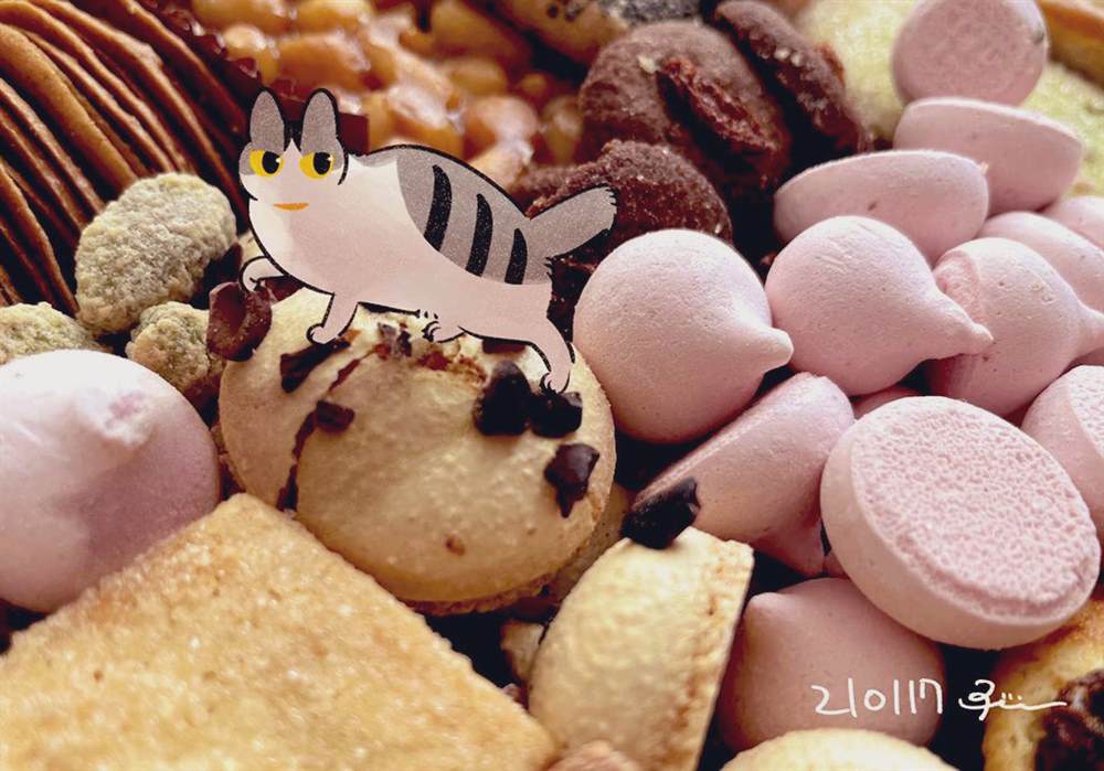 《和猫在一起生活的日记》漫画最新章节第杂图话免费下拉式在线观看章节第【25】张图片