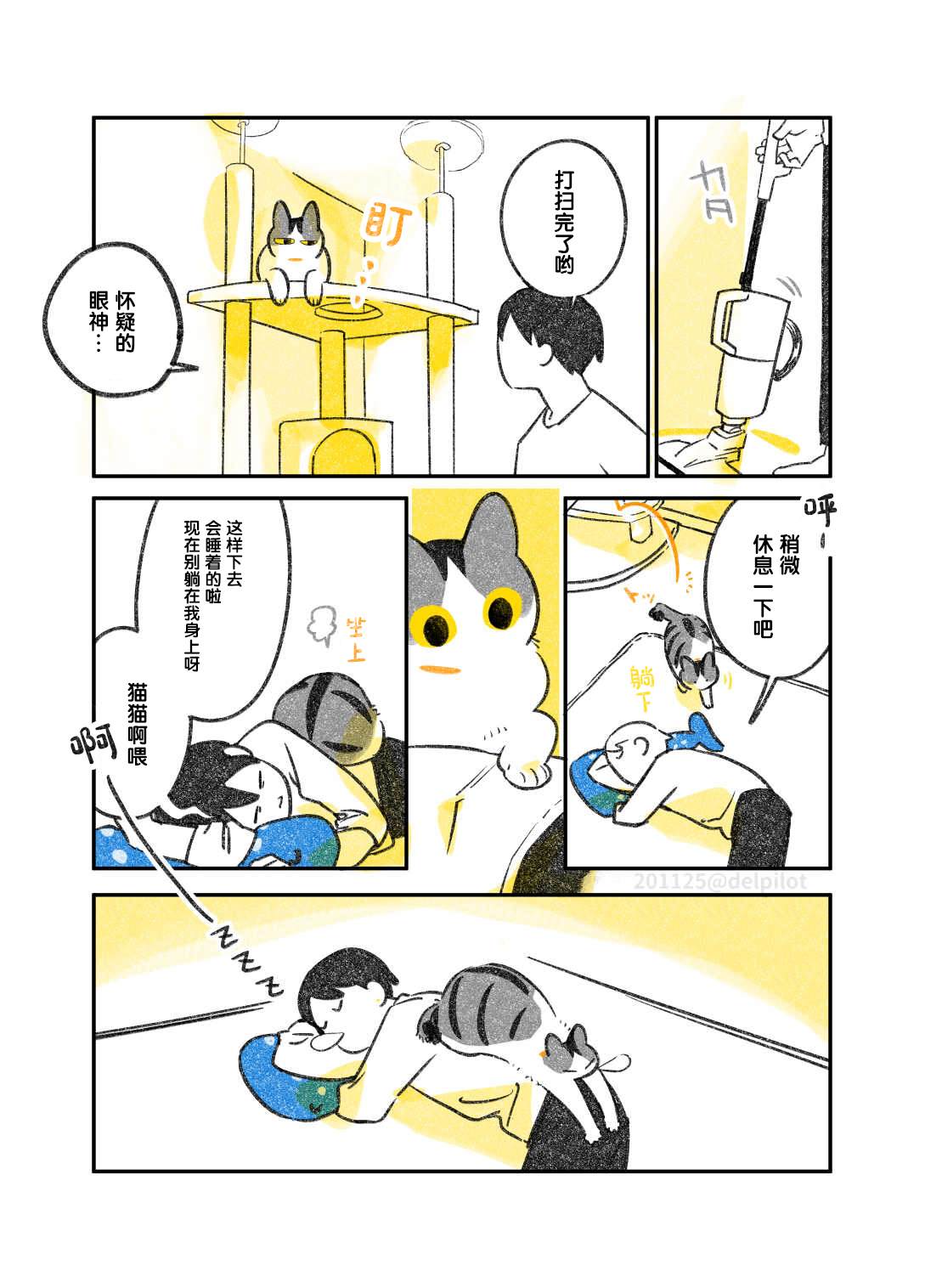 《和猫在一起生活的日记》漫画最新章节第20话免费下拉式在线观看章节第【5】张图片