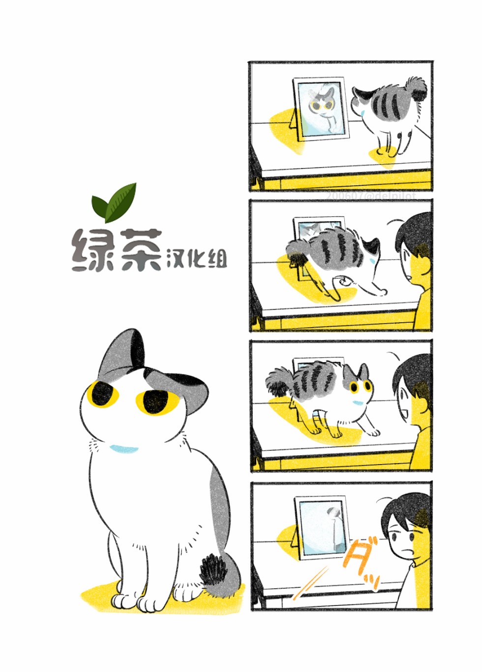 《和猫在一起生活的日记》漫画最新章节第14话免费下拉式在线观看章节第【1】张图片