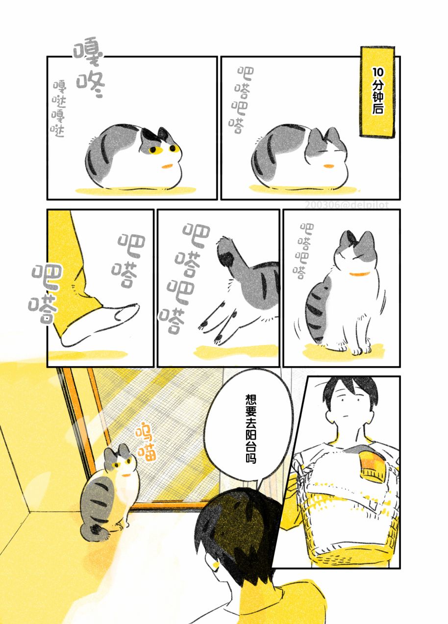 《和猫在一起生活的日记》漫画最新章节第12话免费下拉式在线观看章节第【3】张图片