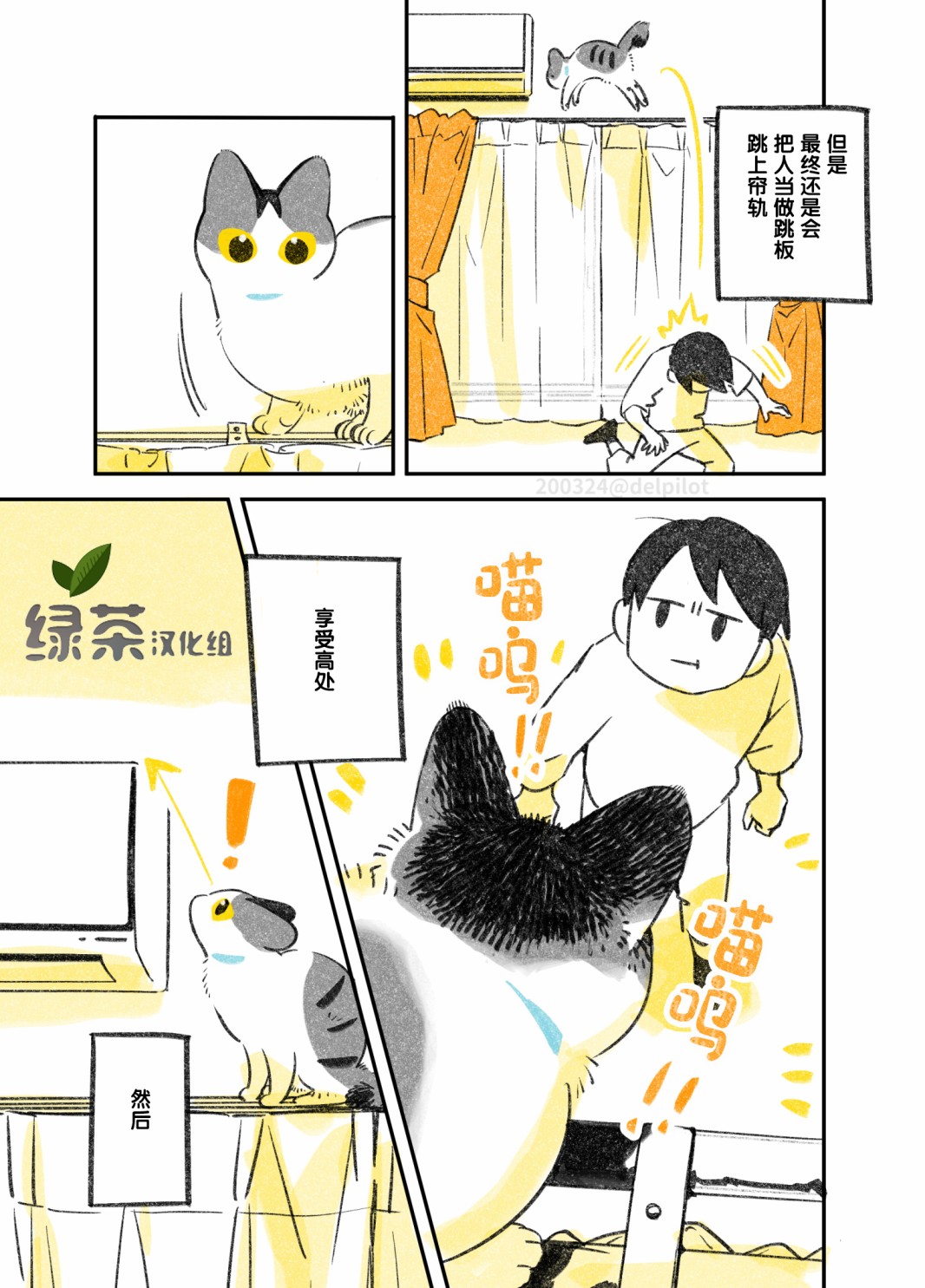 《和猫在一起生活的日记》漫画最新章节第13话免费下拉式在线观看章节第【4】张图片